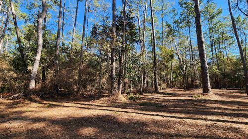 xxx Cherokee Dr, Sopchoppy, FL, 32358 | Card Image
