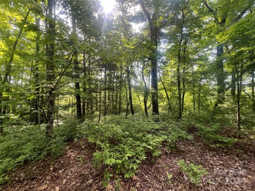 000 Laurel Thicket, Brevard, NC, 28712 | Card Image