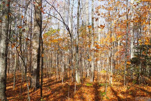 na Silly Ridge Road, Scaly Mountain, NC, 28775 | Card Image