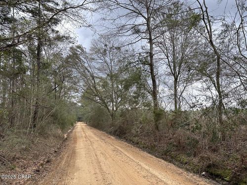 Tract#6201 Doyle Morgan Road, Defuniak Springs, FL, 32433 | Card Image