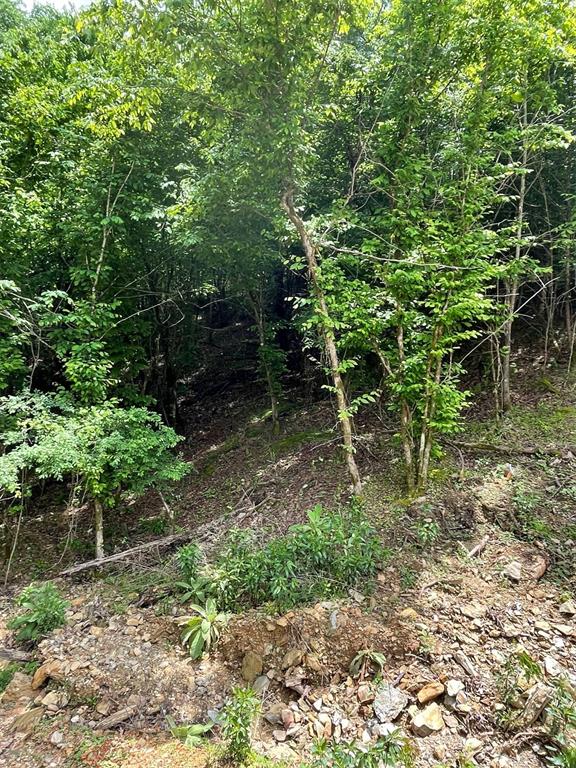 Land in Broken Bow 3