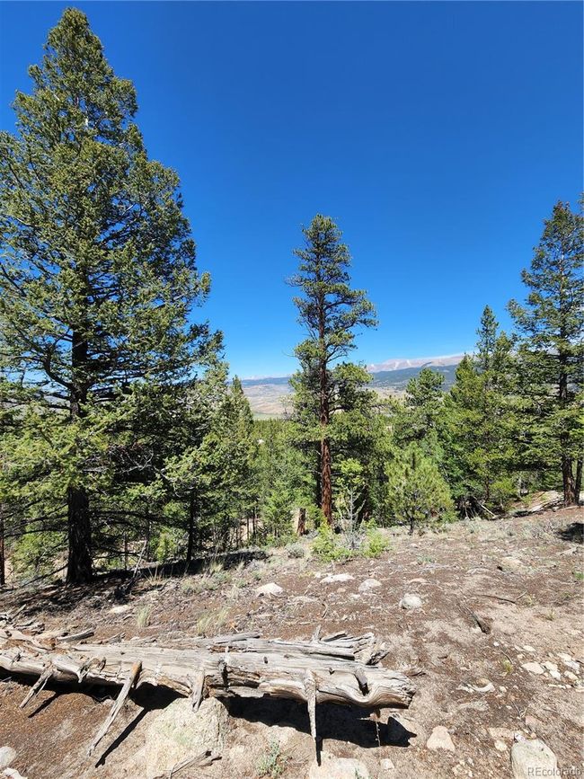 332 Mount Elbert Dr, Home with 0 bedrooms, 0 bathrooms and null parking in Twin Lakes CO | Image 8