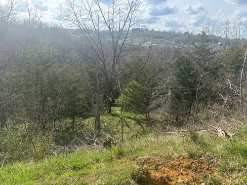 TBD Point Dr, Pounding Mill, VA, 24637 | Card Image