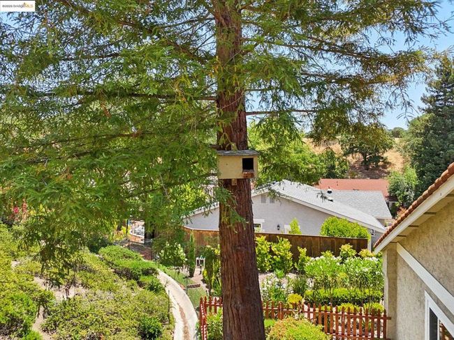 2353 Benham Ct, House other with 5 bedrooms, 3 bathrooms and 3 parking in Walnut Creek CA | Image 60