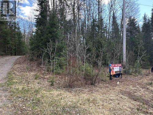 CONC 22 Pt Lot 12, Highlands East (Monmouth), ON, K0L3C0 | Card Image