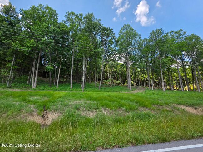 5 Cave Creek Rd, Home with 0 bedrooms, 0 bathrooms and null parking in Falls Of Rough KY | Image 10