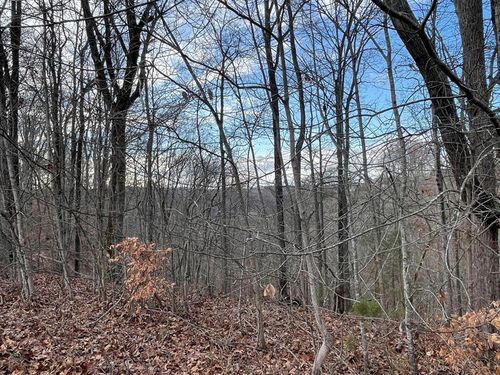 14 The Village Dr, Nancy, KY, 42544 | Card Image