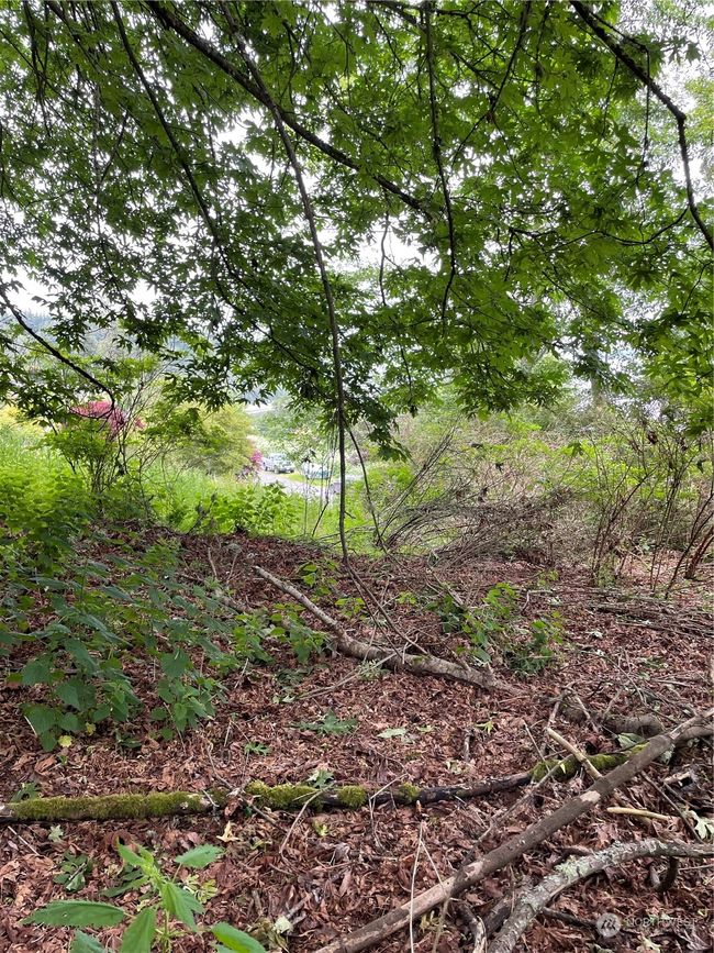 0 XXX Cranes Landing Drive, Home with 0 bedrooms, 0 bathrooms and null parking in Greenbank WA | Image 7