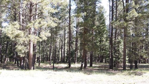 153 San Andres Dr, Angel Fire, NM, 87710 | Card Image