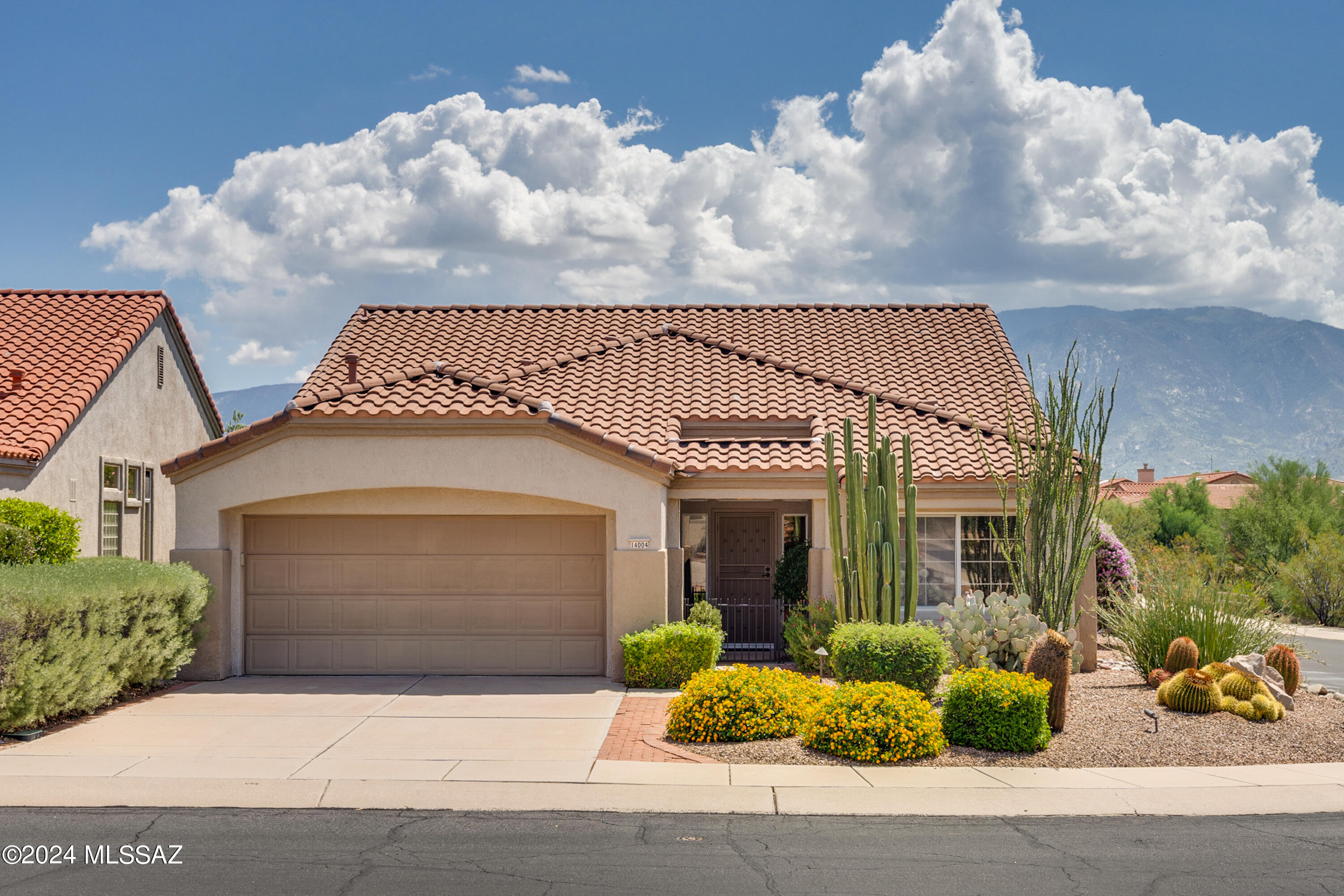Willow Bend Dr, Oro Valley, AZ 85755