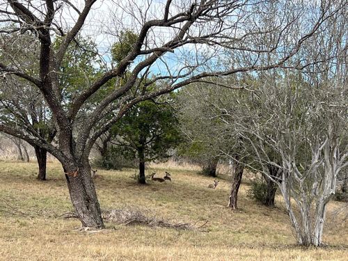 Duplex Lot 8002 Hi Circle West, Horseshoe Bay, TX, 78657-0000 | Card Image