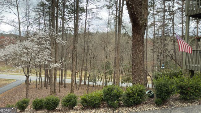 916 Sautee Trl, House other with 4 bedrooms, 3 bathrooms and null parking in Sautee Nacoochee GA | Image 37