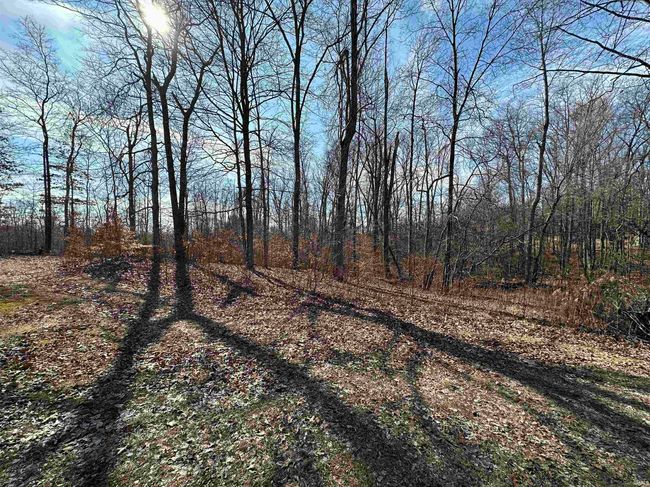1446 Washboard Rd, House other with 4 bedrooms, 1 bathrooms and null parking in Bedford IN | Image 8