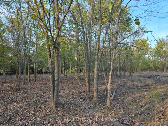 782 Shannon Rd, Home with 2 bedrooms, 1 bathrooms and 10 parking in Plainfield ON | Image 5