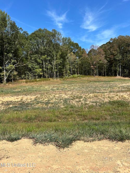 20 Pebble View Dr, Byhalia, MS, 38611 | Card Image