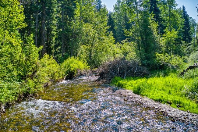 14470 Cottonwood Canyon Rd, House other with 2 bedrooms, 1 bathrooms and null parking in Bozeman MT | Image 26
