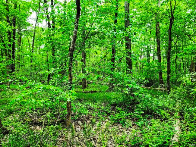 0 Highway 31 N, Home with 0 bedrooms, 0 bathrooms and null parking in Henryville IN | Image 10