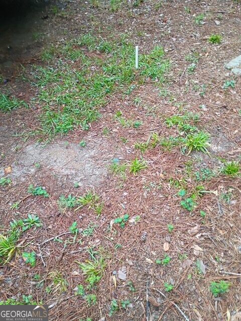 Land in Waynesboro 5