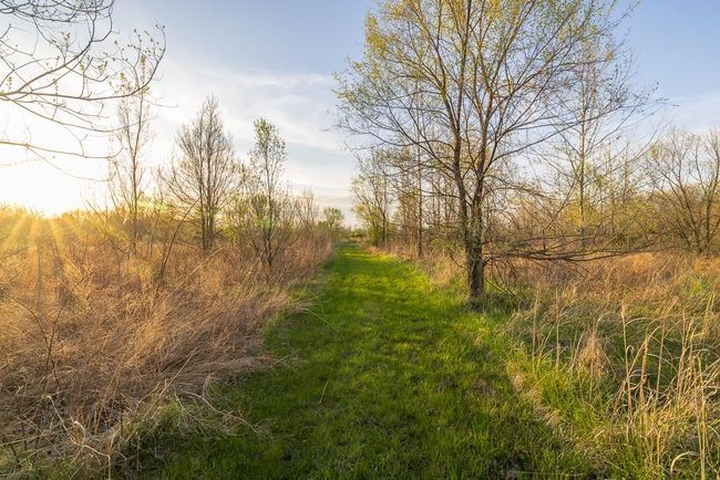 14310 E State Route A, House other with 3 bedrooms, 3 bathrooms and null parking in Archie MO | Image 71