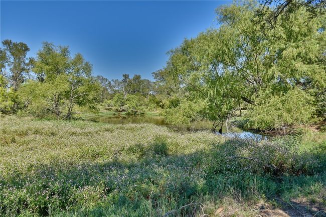 180 Sunny Day Drive, Home with 0 bedrooms, 0 bathrooms and null parking in Red Rock TX | Image 9