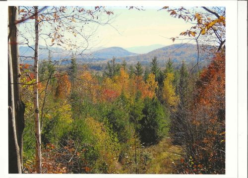 0 North Rd, Guildhall, VT, 05905 | Card Image