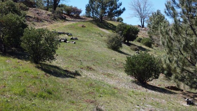 5566 Acorn Patch Rd, Home with 0 bedrooms, 0 bathrooms and null parking in Julian CA | Image 8