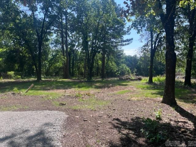 Alamo Dr, Mountain View, AR 72560