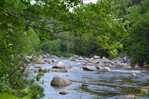 100 Route 302 W, Twin Mountain, NH, 03595-2015 | Card Image