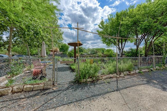 Community garden | Image 26