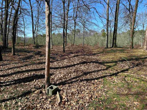 3805 Independence Dr, Hot Springs National Park, AR, 71913 | Card Image