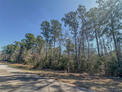 TBD N Canyon Dr, Onalaska, TX, 77360 | Card Image