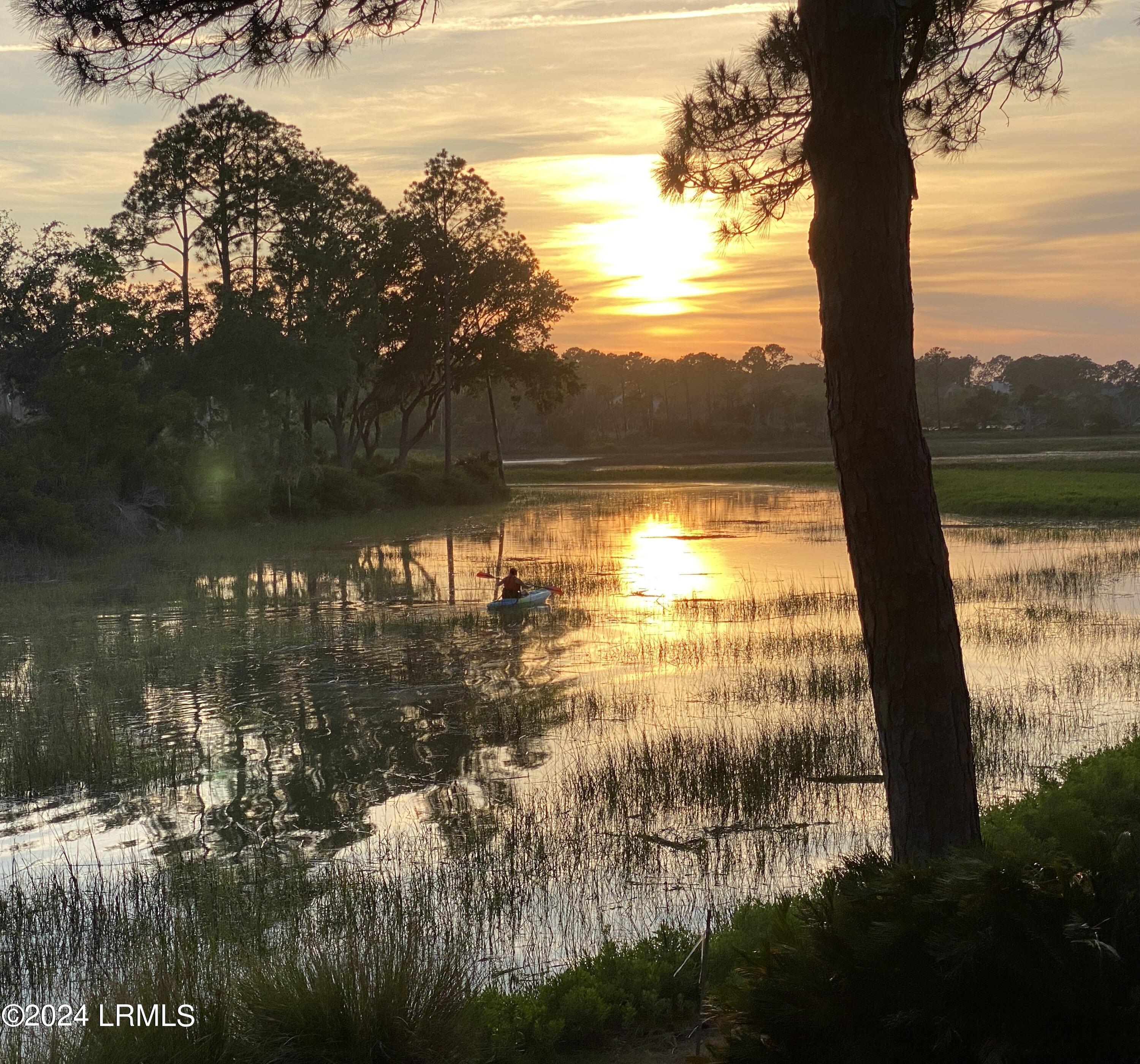 Audubon Pond Rd, Hilton Head Island, SC 29928