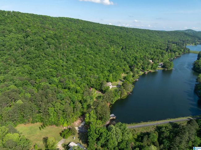 9235 Jade Lake Rd E, House other with 3 bedrooms, 3 bathrooms and null parking in PINSON AL | Image 41
