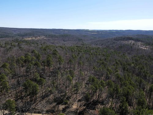 4429 Oyler Rd, Clinton, AR, 72031-6962 | Card Image