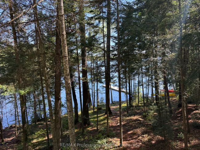 6547 Kennisis Lake Rd, House other with 3 bedrooms, 1 bathrooms and 3 parking in Haliburton ON | Image 37