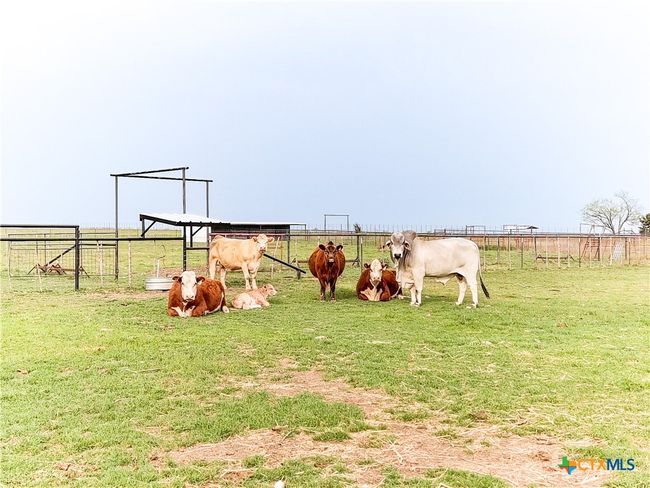 973 County Road 130, Home with 3 bedrooms, 3 bathrooms and null parking in Gatesville TX | Image 38