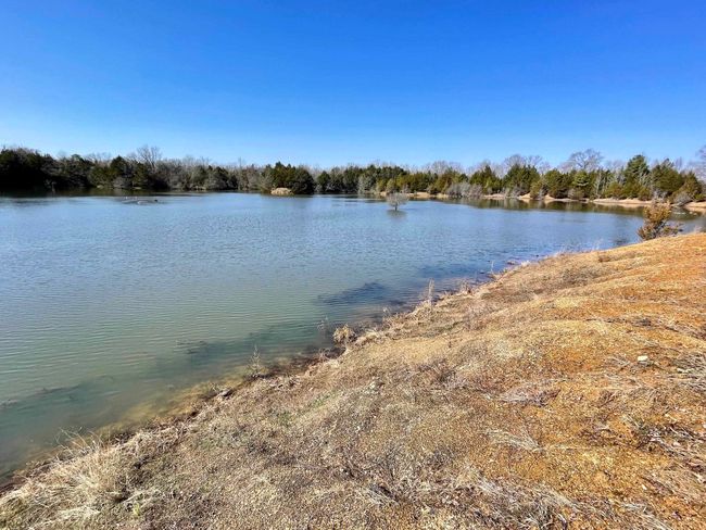 000 Brewer Rd, Home with 0 bedrooms, 0 bathrooms and null parking in Conway AR | Image 43
