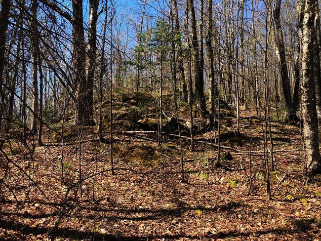 Lot 35 N Alpine Dr, Home with 0 bedrooms, 0 bathrooms and null parking in Upson WI | Image 9