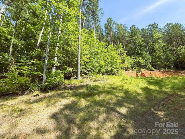 146 S Branch Dr, Home with 0 bedrooms, 0 bathrooms and null parking in Bostic NC | Image 7