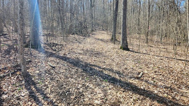 TRACT-2-PIKE-LAKE-GETAWA - 0 Pike Lake Rd, Home with 0 bedrooms, 0 bathrooms and null parking in Bainbridge OH | Image 39