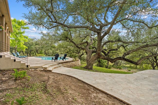 This tree is incredible! It's the centerpiece of the entire backyard. | Image 33