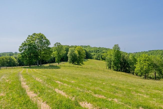 688 Gibson Knob Rd, Home with 0 bedrooms, 0 bathrooms and null parking in Laurel Fork VA | Image 67