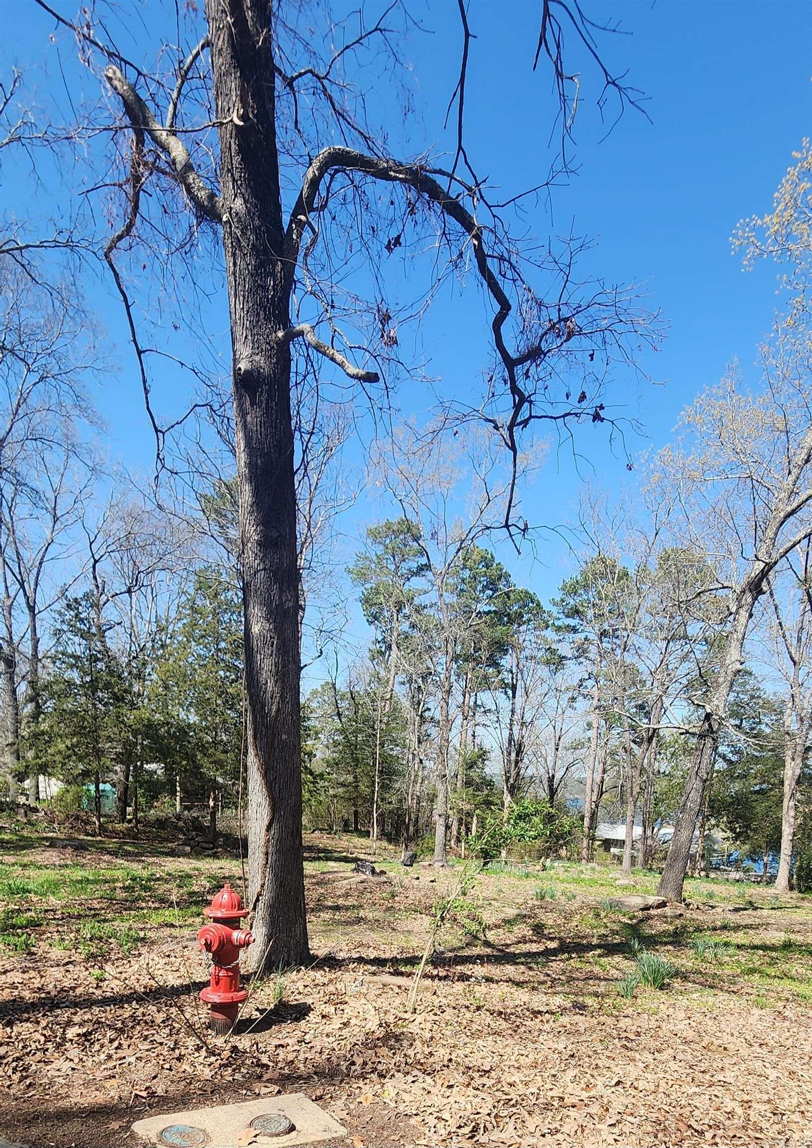 Land in Heber Springs 4