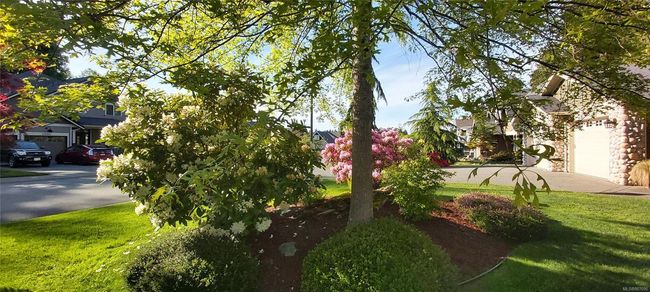 Summer Rendering | Image 63