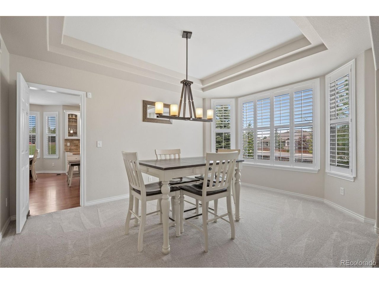 Residential in Castle Rock 5