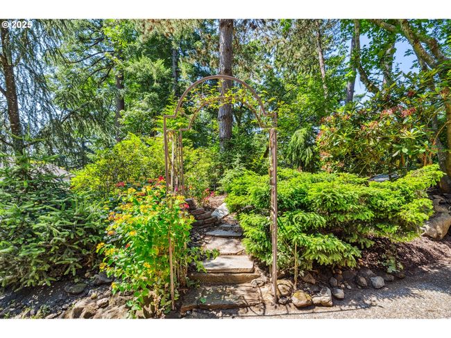 Backyard | Image 47