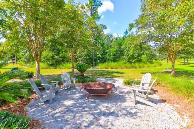 1888 Nola -Tidalcreekphoto- (48) | Image 50