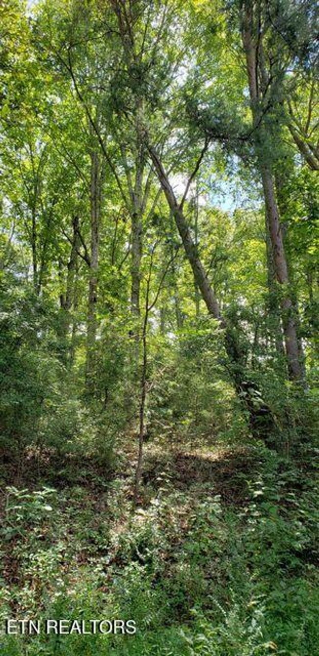 4 Treeline Dr, Home with 0 bedrooms, 0 bathrooms and null parking in Dunlap TN | Image 8