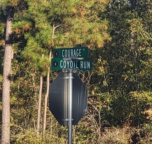 104 Coyote Run, New Waverly, TX, 77358 | Card Image