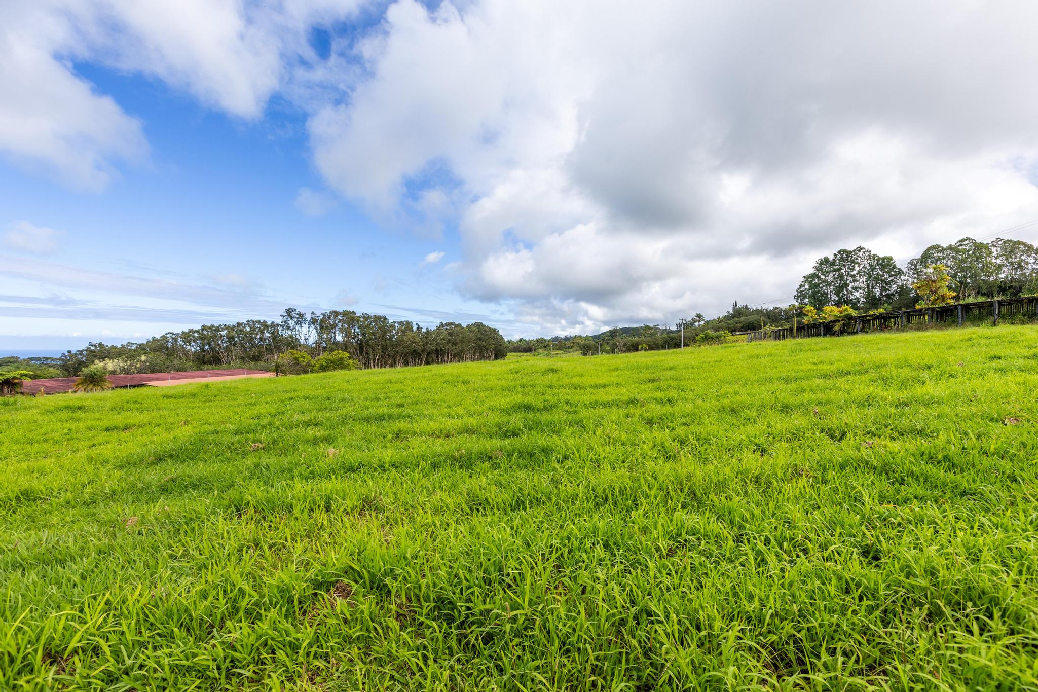 Land in Hakalau 4